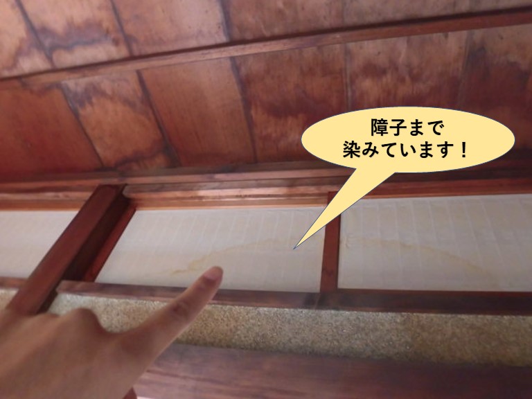 岸和田市西之内町の縁側の障子まで染みています！