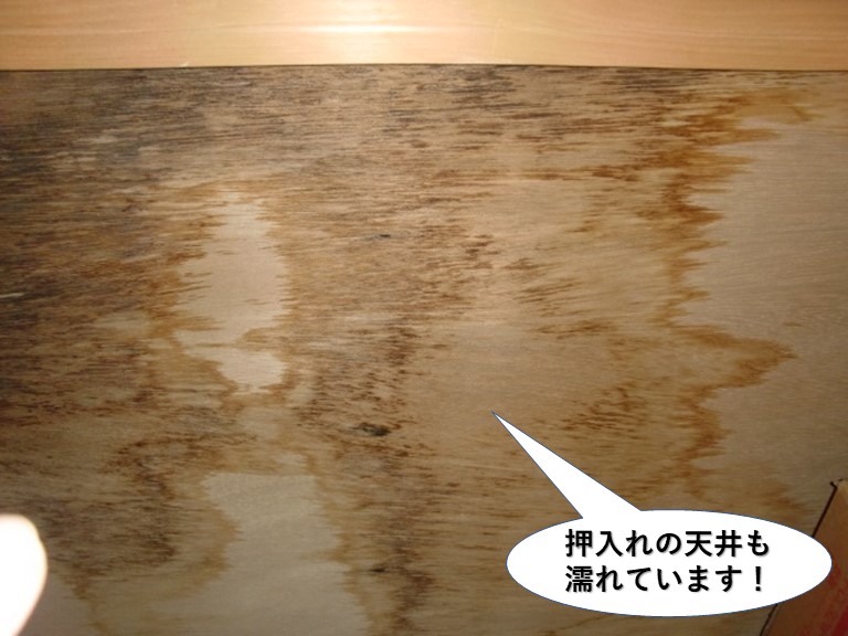 貝塚市の押入れの天井も濡れています