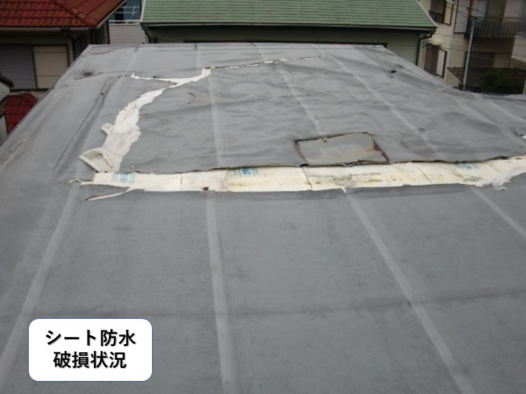 貝塚市の陸屋根のシート防水破損状況