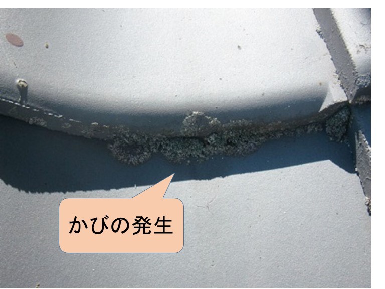 岸和田市天神山町の和瓦の葺替え工事の現地調査