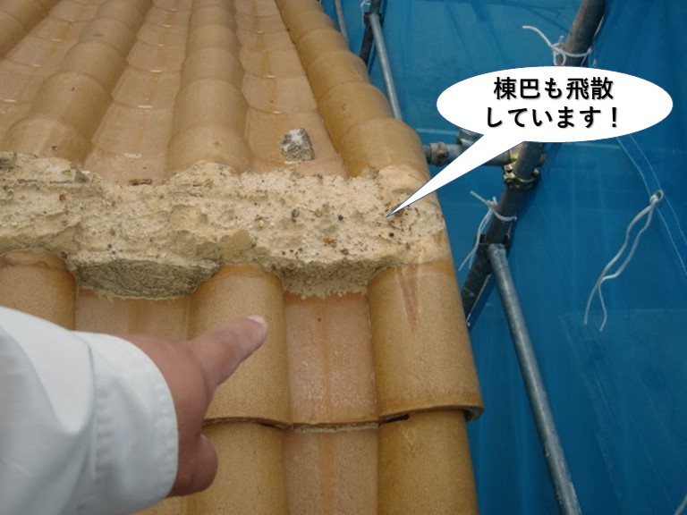 和泉市の棟巴も飛散