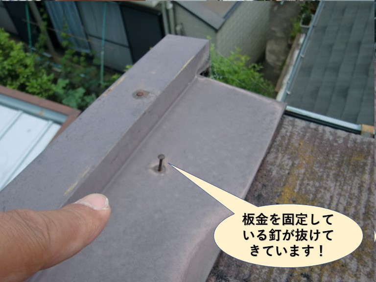 泉大津市の板金を固定している釘が抜けてきています