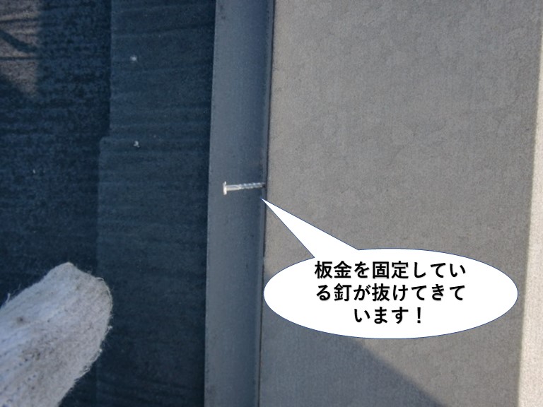 忠岡町の屋根の板金を固定している釘が抜けてきています