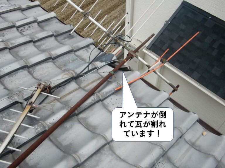岸和田市のテレビアンテナが倒れて瓦が割れています