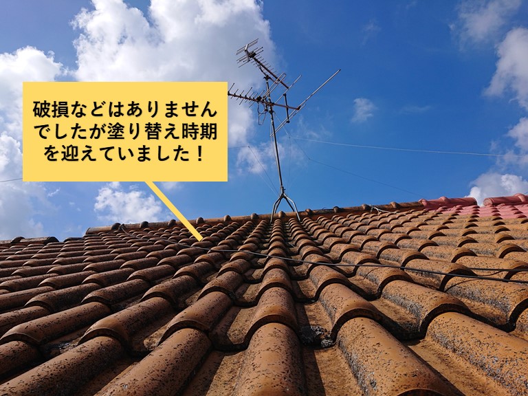 和泉市の屋根の破損はありませんでしたが塗り替え時期を迎えていました