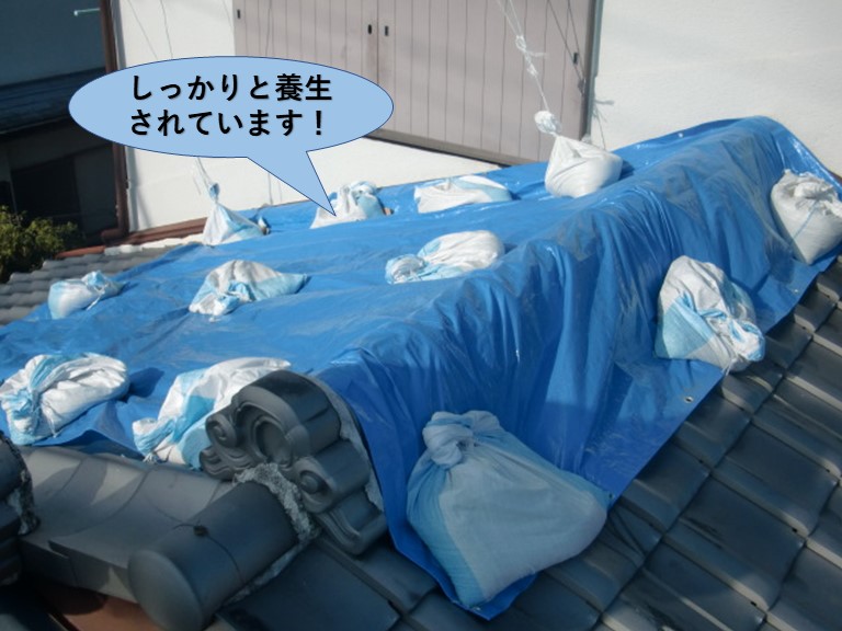 岸和田市の屋根をしっかりと養生されています