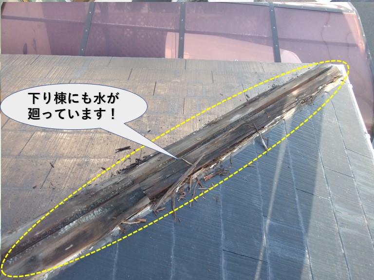 岸和田市の下屋の下り棟にも水が廻っています