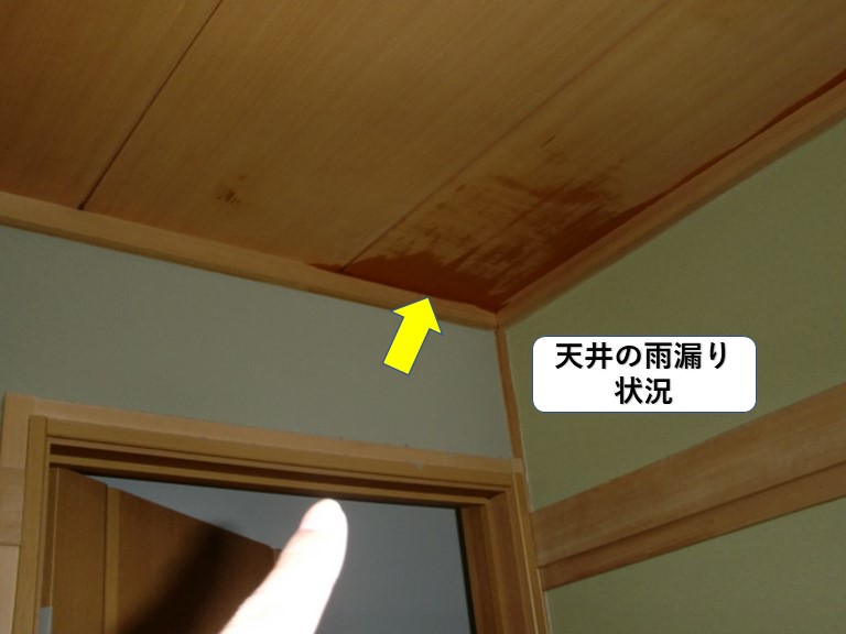 岸和田市の天井の雨漏り状況