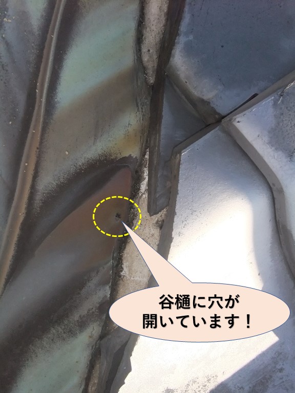 大津市の谷樋に穴が開いています