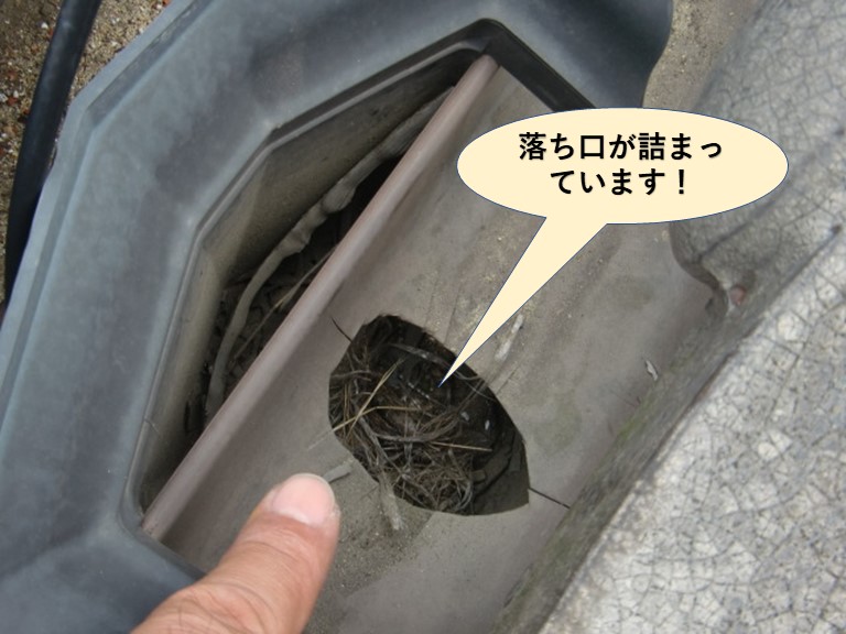 泉大津市の樋の落ち口が詰まっています