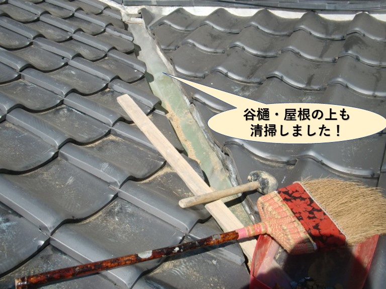 泉大津市の谷樋・屋根の上も掃除しました