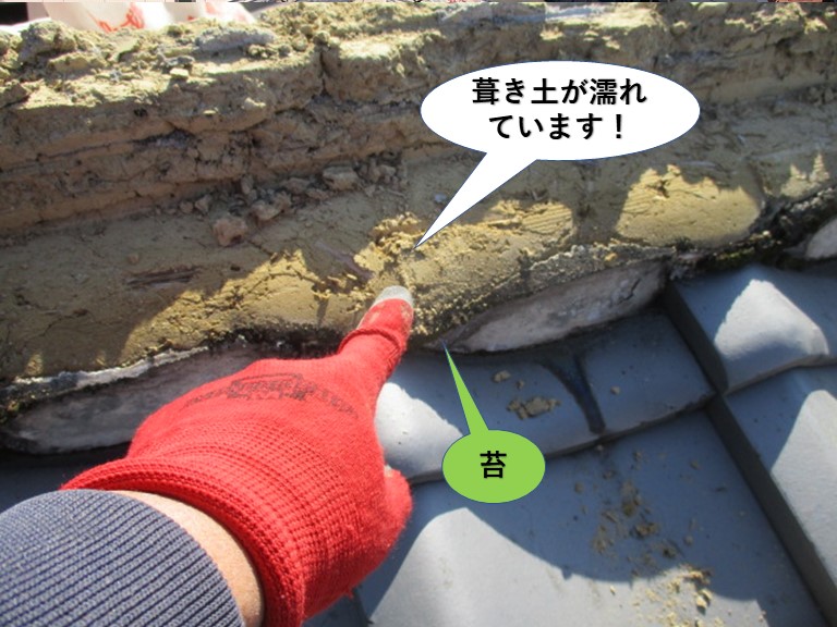 貝塚市の棟の苔が生えていた箇所の葺き土が濡れています
