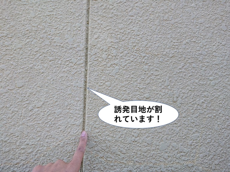 泉大津市の誘発目地が割れています