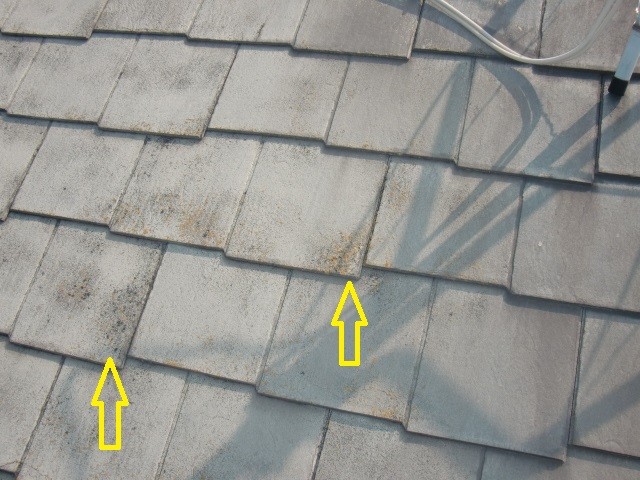 岸和田市八田町の屋根瓦の現況