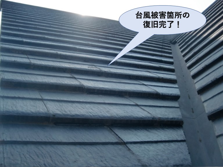 忠岡町の台風被害箇所の復旧完了