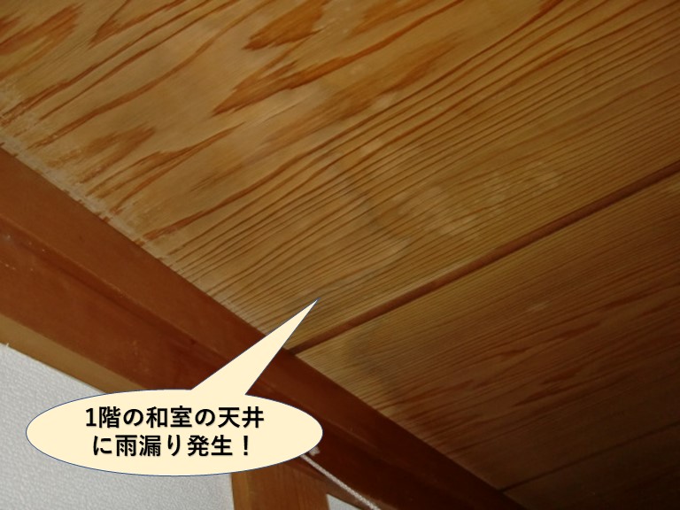 岸和田市の1階の和室の天井に雨漏り