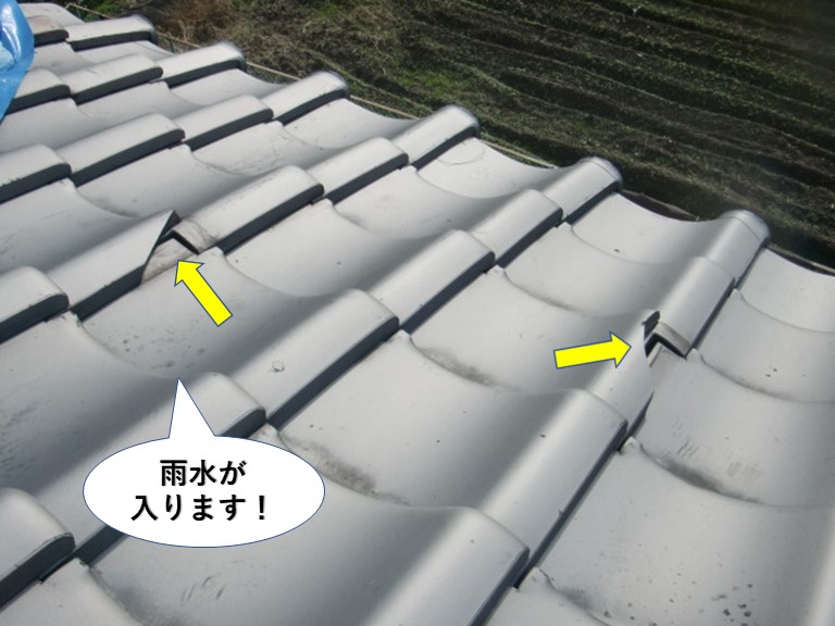 岸和田井の下屋から雨水が入ります