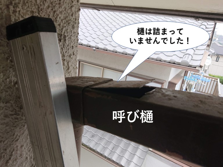 泉佐野市の呼び樋は詰まっていませんでした