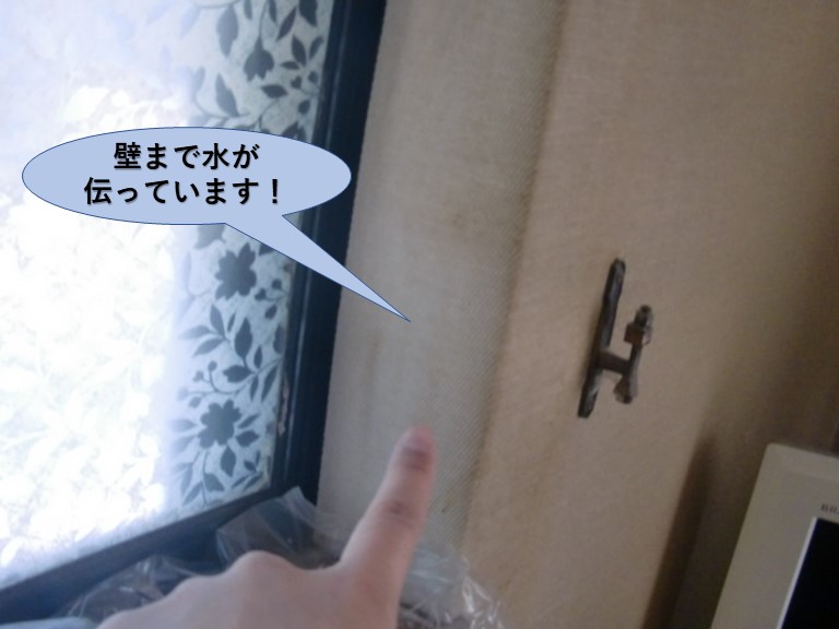 熊取町の壁まで水が伝っています