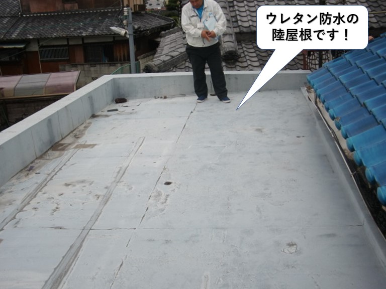 泉大津市のウレタン防水の陸屋根です