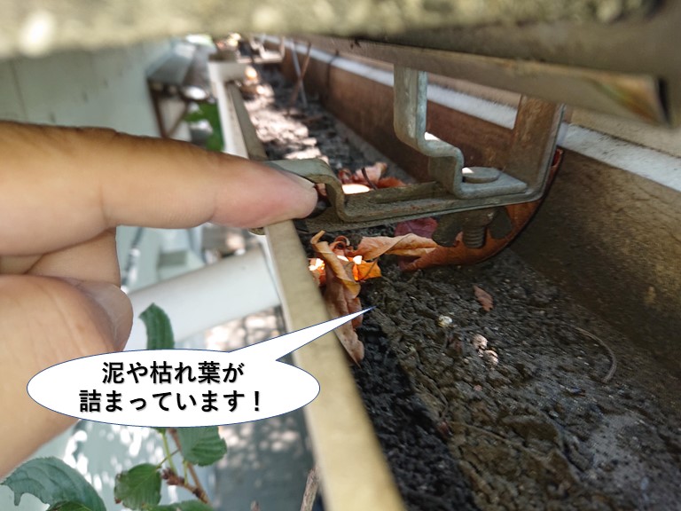 泉大津市の樋に泥や枯れ葉が詰まっています