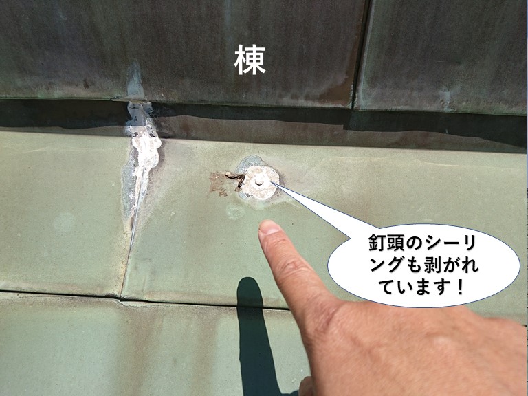 岸和田市の棟の際の釘頭のシーリングも剥がれています