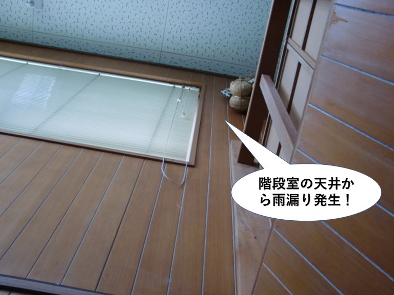 泉佐野市の階段室の天井から雨漏り発生
