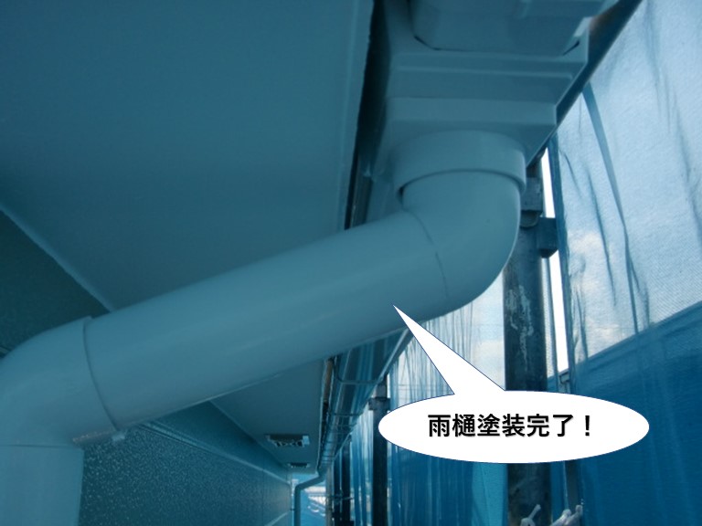 岸和田市の雨樋塗装完了