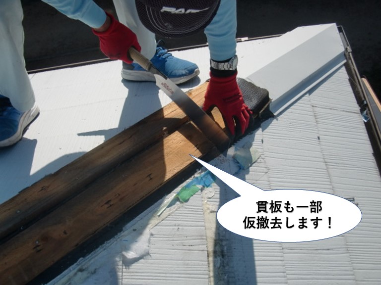泉南市の棟の貫板も一部仮撤去します