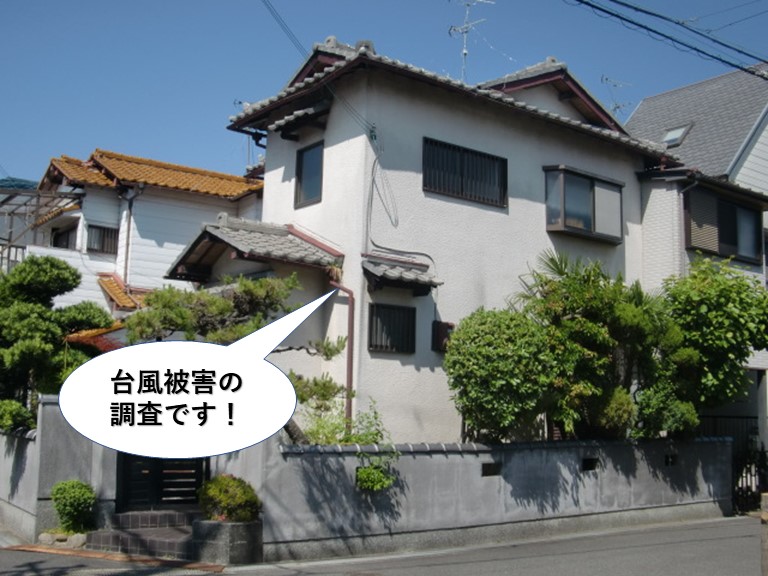 泉大津市の台風被害の調査です