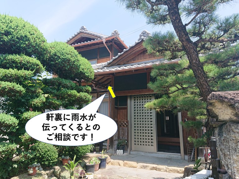 貝塚市の軒裏に雨水が伝ってくるとのご相談