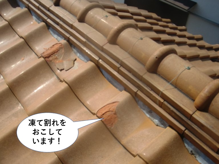 和泉市の瓦の凍て割れ