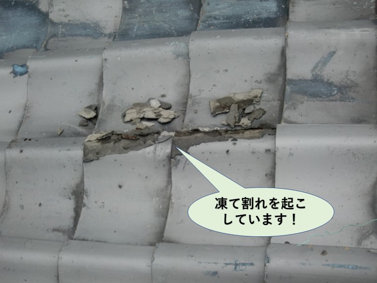 岸和田市の瓦の凍て割れ