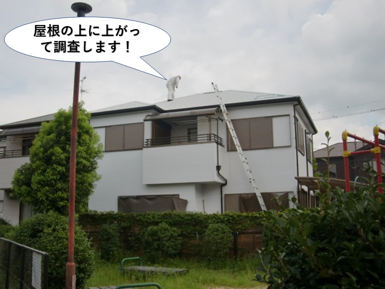 泉南市の屋根の上に上がって調査します