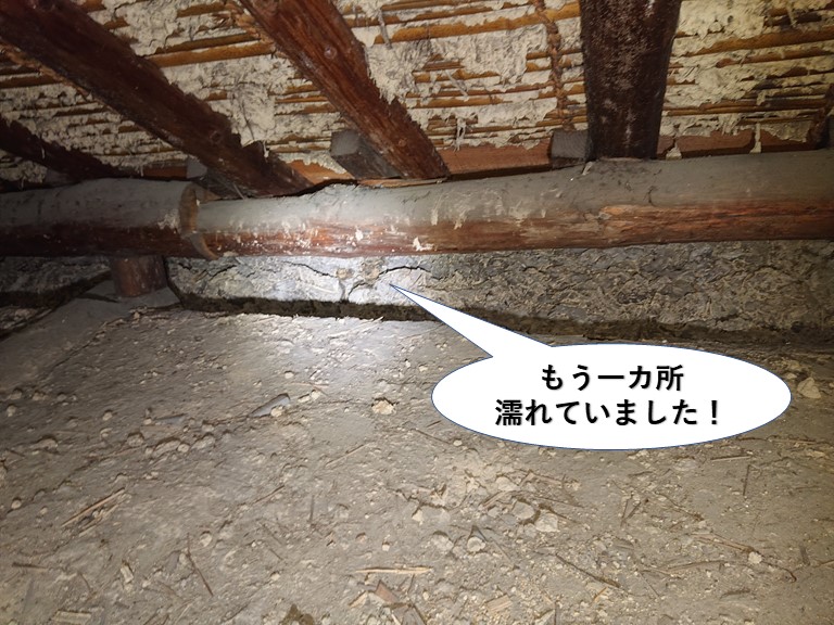 貝塚市の小屋裏でもう一カ所濡れていました