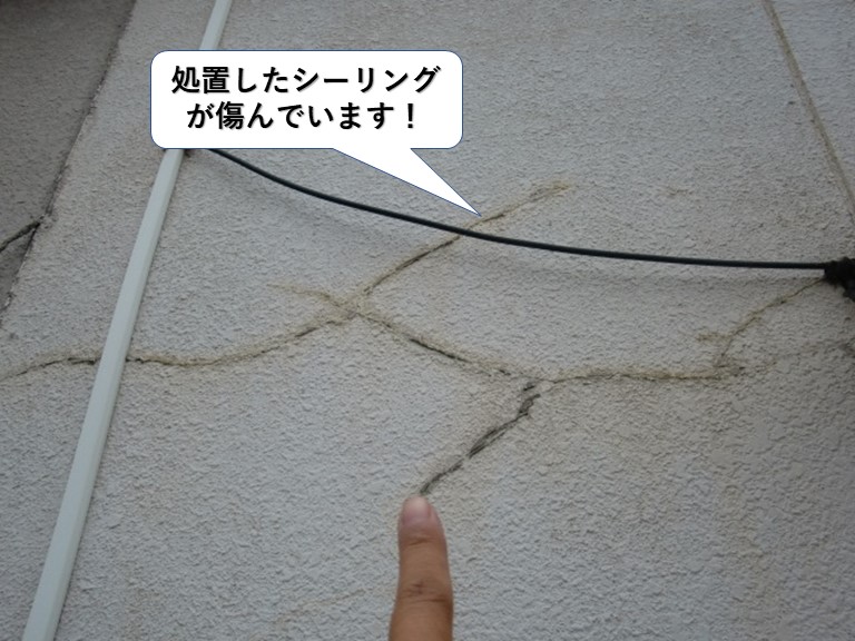 和泉市の処置したシーリングが傷んでいます