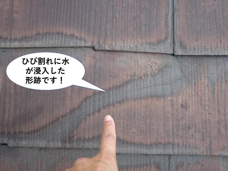 貝塚市の屋根のひび割れに水が浸入した形跡です