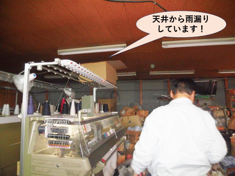 岸和田市の倉庫の天井から雨漏り