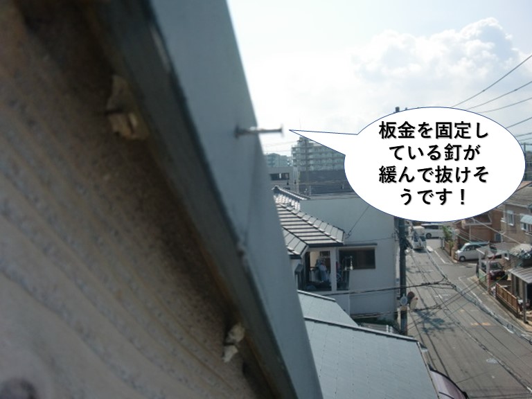 忠岡町の板金を固定している釘が緩んで抜けそうです