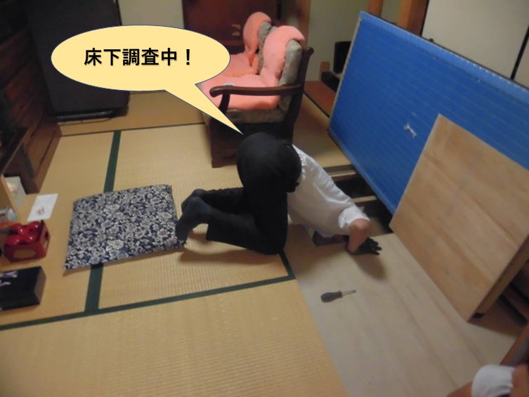 岸和田市の床下調査中