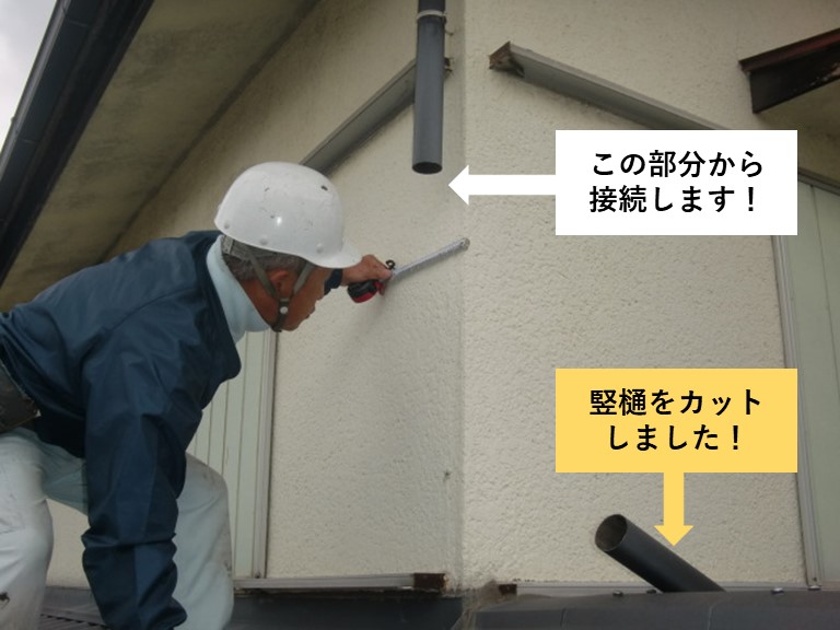 岸和田市の竪樋をカット