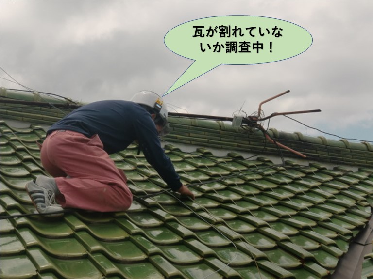 岸和田市の瓦が割れてないか調査中