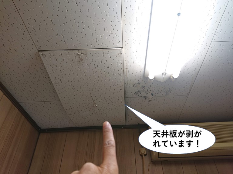 阪南市の天井板が剥がれています