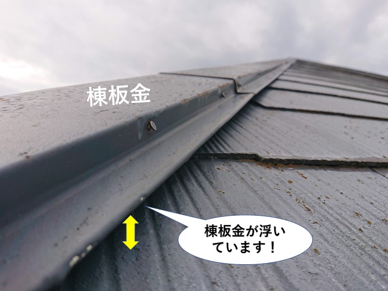 忠岡町の棟板金が浮いています