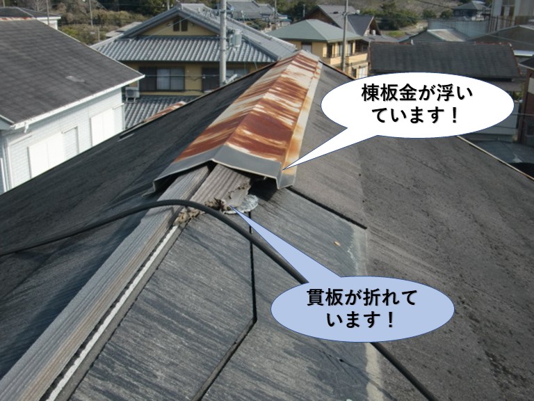 忠岡町の棟板金が浮いています