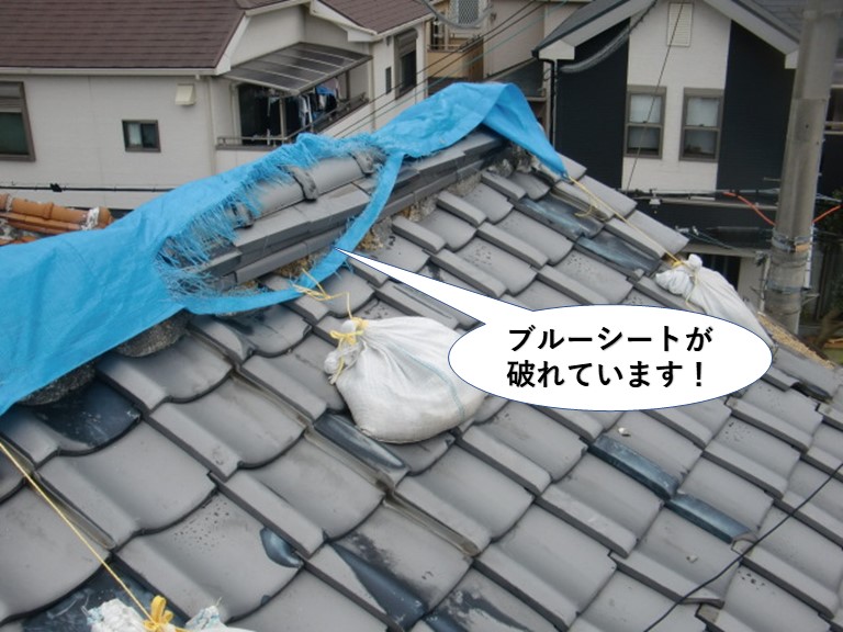 貝塚市の屋根の応急処置のブルーシートが破れています