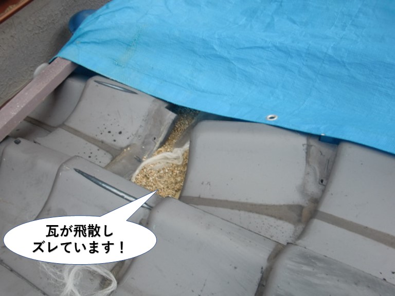 貝塚市の瓦が飛散しズレています