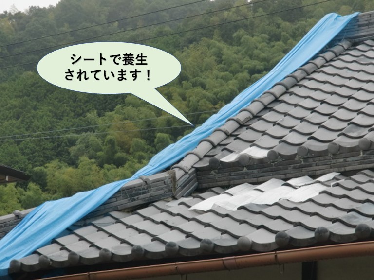 岸和田市の屋根をシートで養生されています