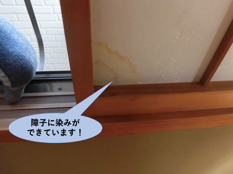 岸和田市の障子に染みができています