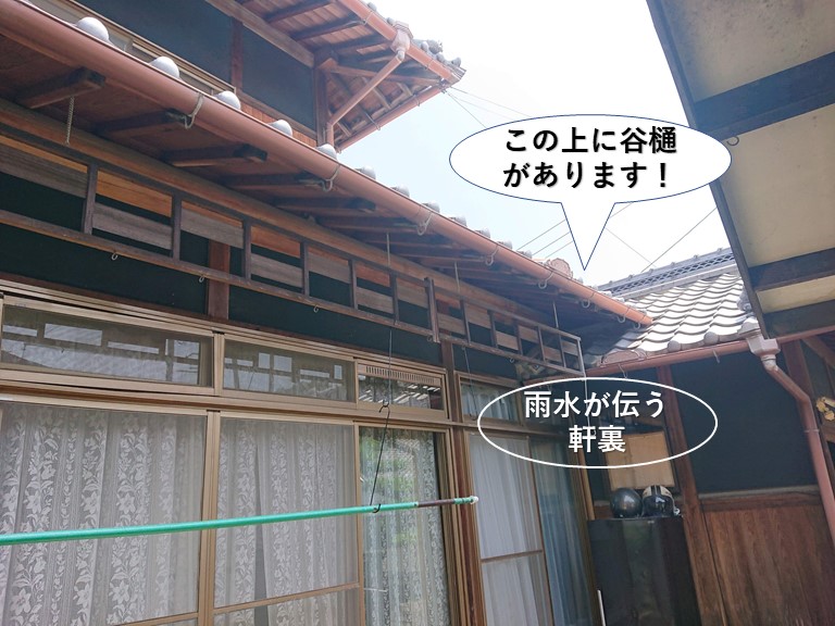 貝塚市の軒裏の上に谷樋があります